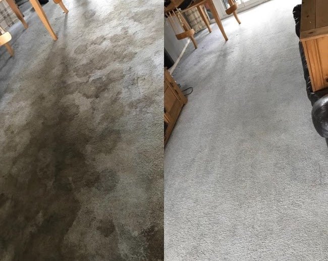 Carpet Cleaning